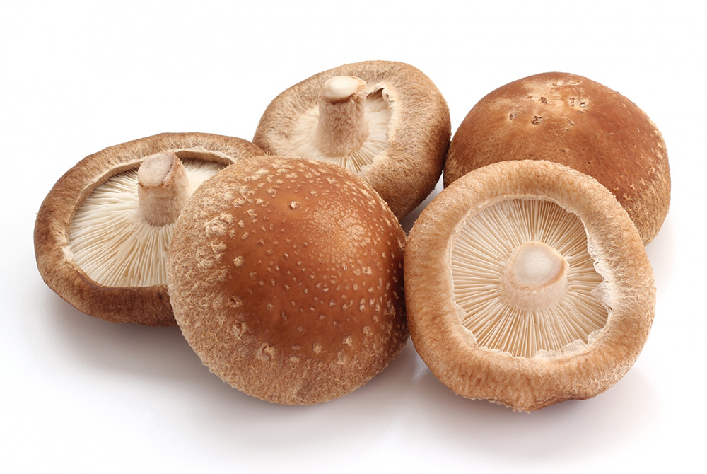 しいたけのレシピ