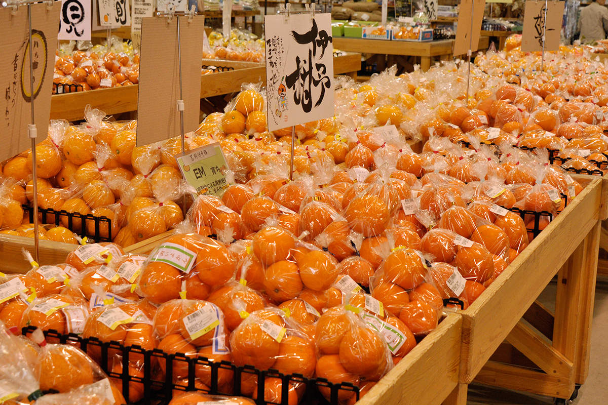 さい さいき て 屋 イベント